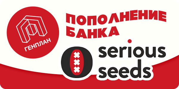 Пополнение сидбанка 