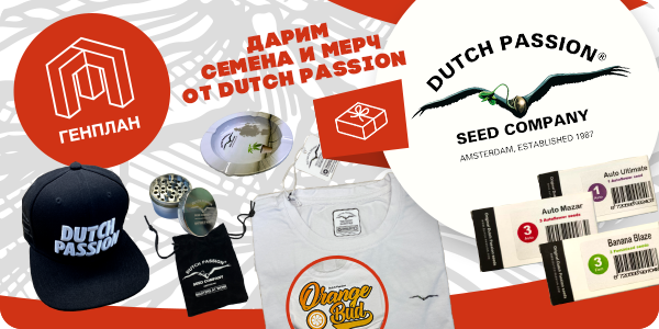 Генплановцы, ловите момент - халява подъехала !