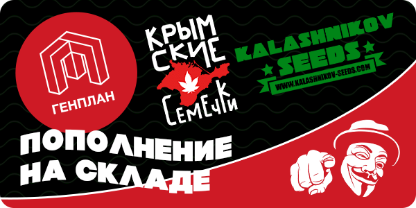 На складе свежее пополнение семян!